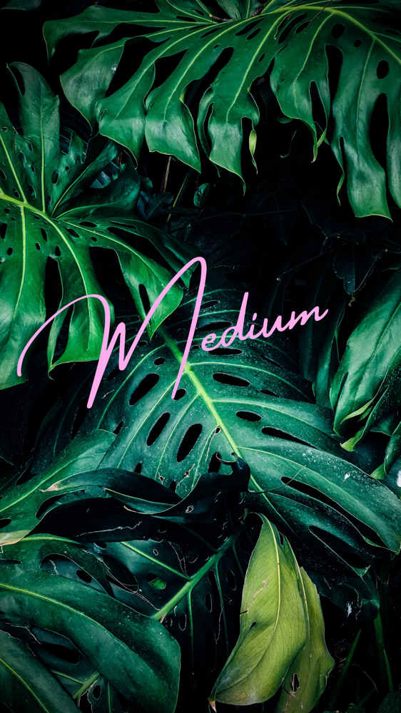 M | Medium Sets