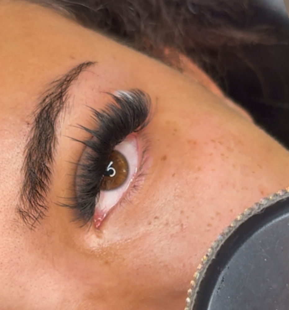 First Time Client Special $120 Lash