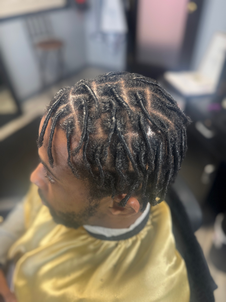 Starter Traditional Locs