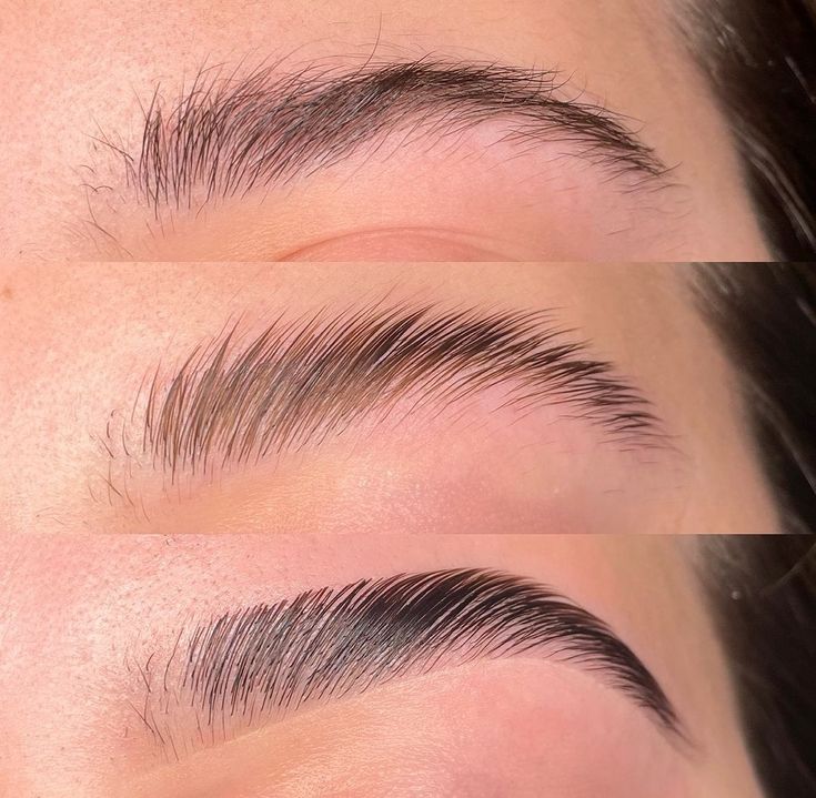Brow Wax + Shaping + Lamination