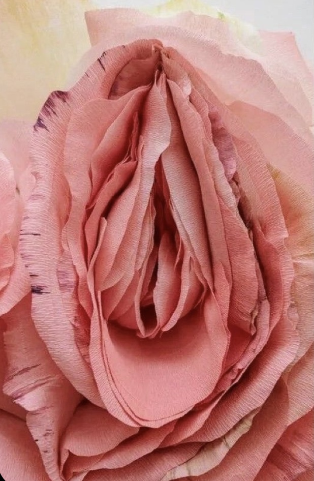 First time Client Brazilian