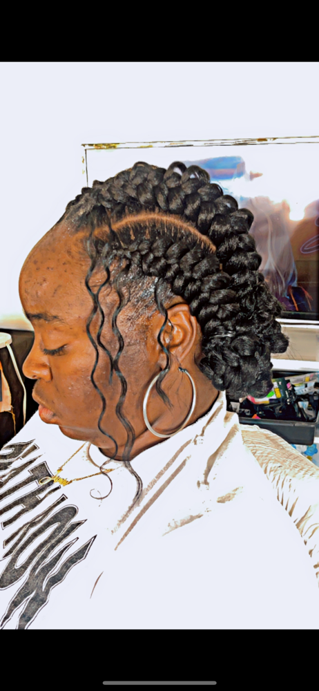4 Butterfly Braids Bun