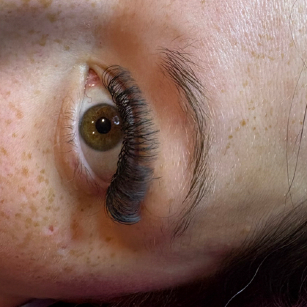 Hybrid Lash Fullset at The Black Sheep Salon, Spa, & Boutique in Peoria, IL