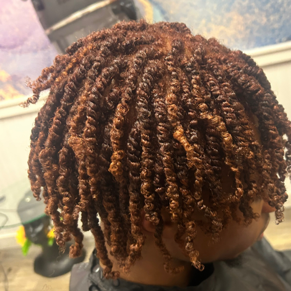 Mini Twists at Crowned Sunflower in Brandon, FL