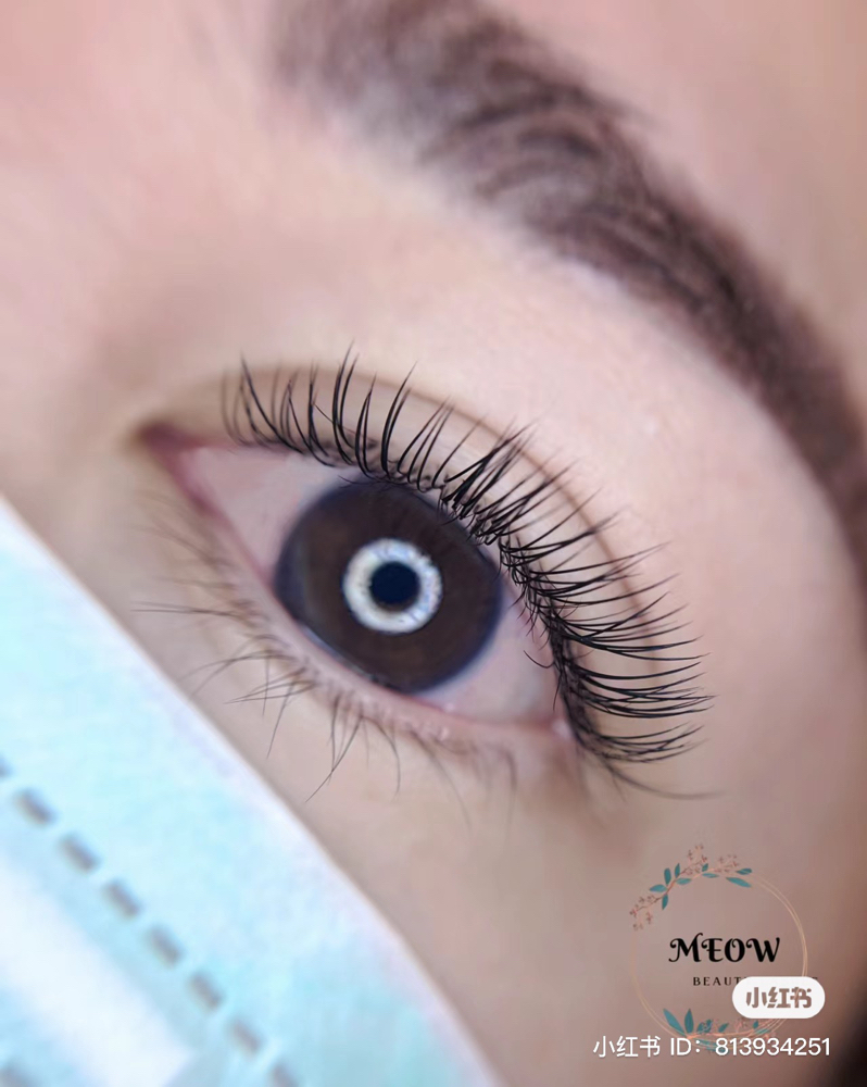 a. Classic Style Lashes ( Full Set)