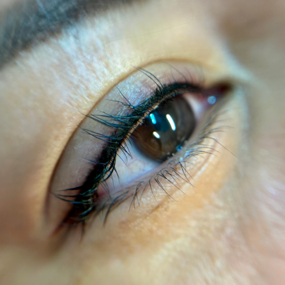 Dark Lash Enhancement (Top) at Bloom Brows Co. in Highland Village, TX
