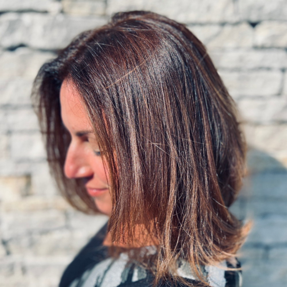 Color Touch Up W/Blowout at Luca Hair Professionals in Bloomingdale, IL