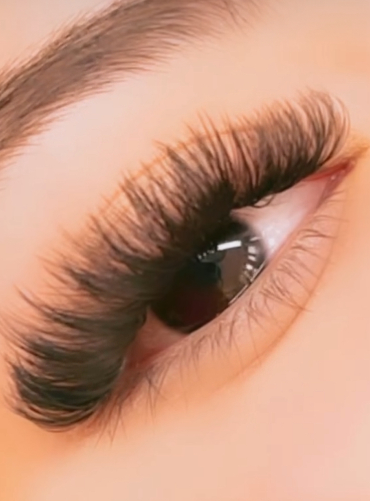 Volume/Wispy Full Set