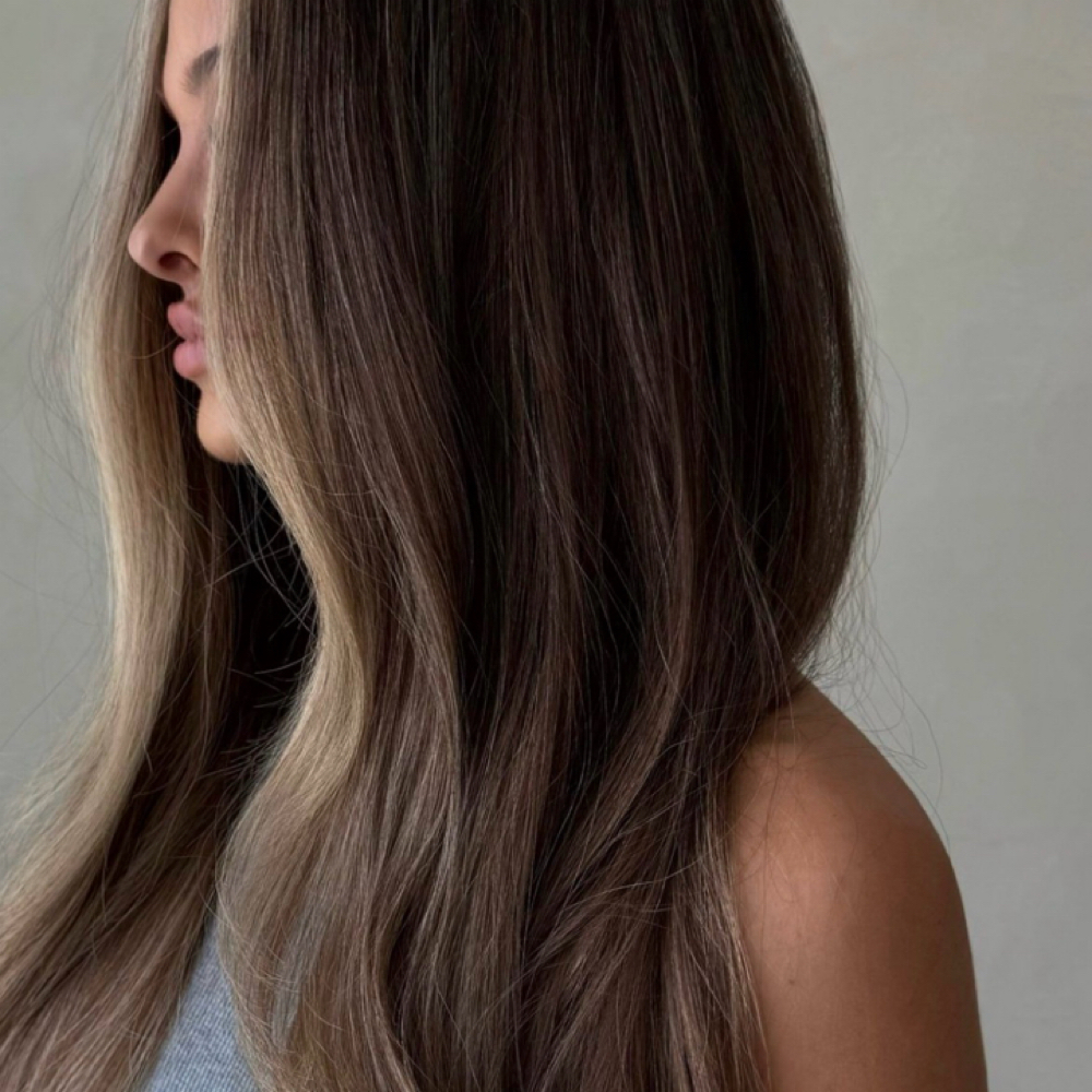 Highlight + Base + Cut at Legally Bronde Hair Studio in Springfield, MO