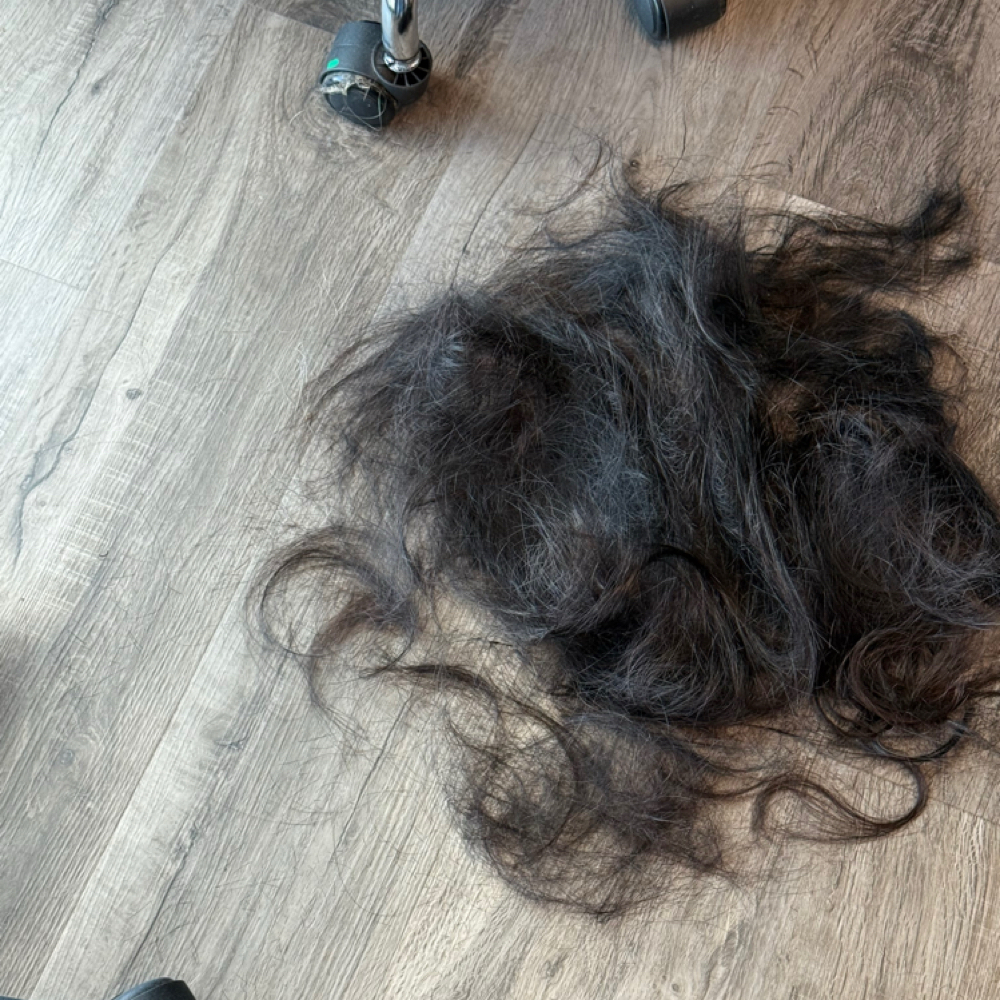 Transformative Haircut at The Beauty Icon in Camby, IN