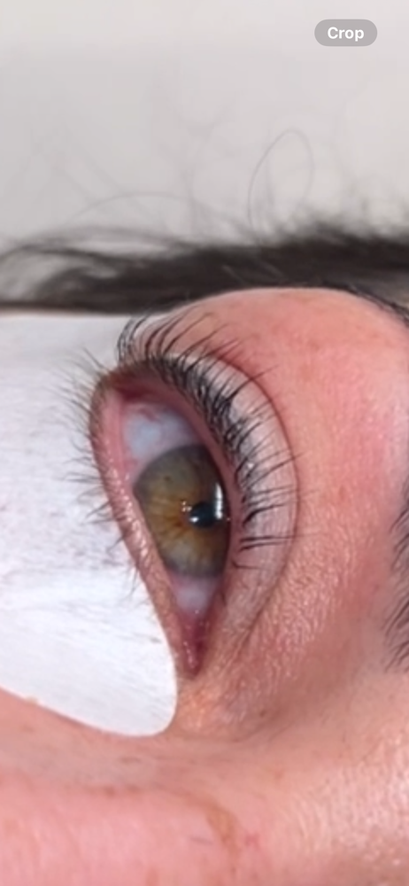 KOREAN LASH LIFT at BROWTIQUE BY LUISA in West Palm Beach, FL