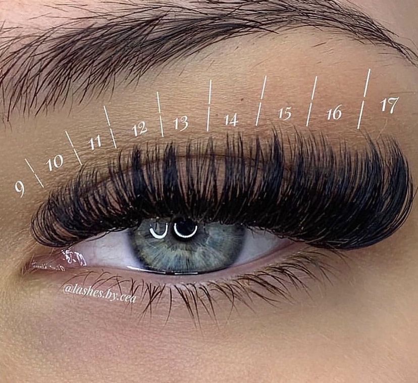 6 Month Volume Lash Fill Package