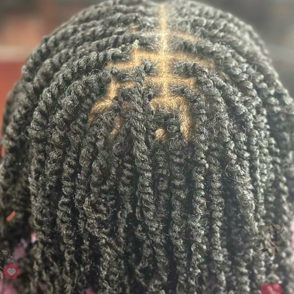 Medium Two Strand Natural Hair at Hair Affairs in Tuscaloosa, AL