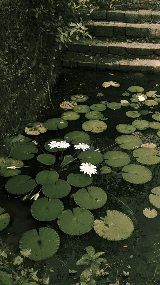 Single Process Color