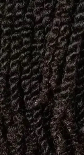 Two Strand Twist