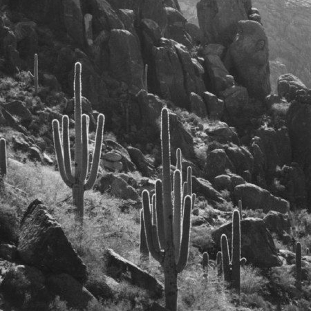 Custom Color Refresh at Salon Idyll in Rochelle, IL