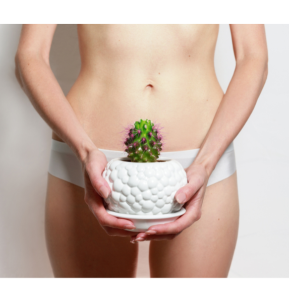 Bikini Wax at LMK ESTHETICS SKINCARE SPA in Lake Ozark, MO