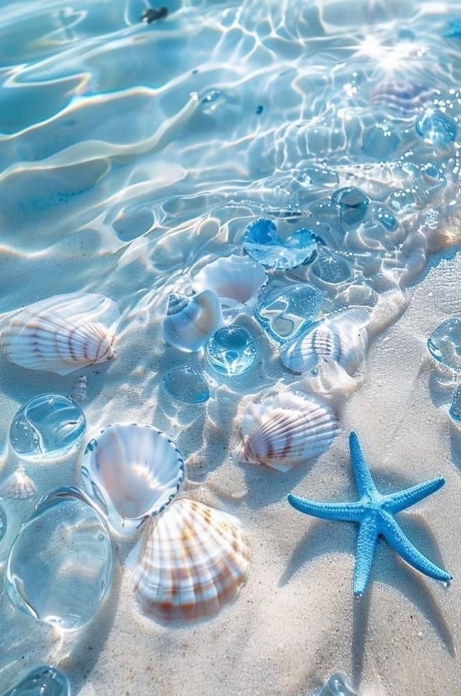 The Busy Mermaid