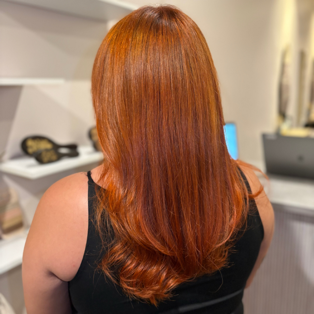 All Over Color at Bloom Salon in Los Angeles, CA