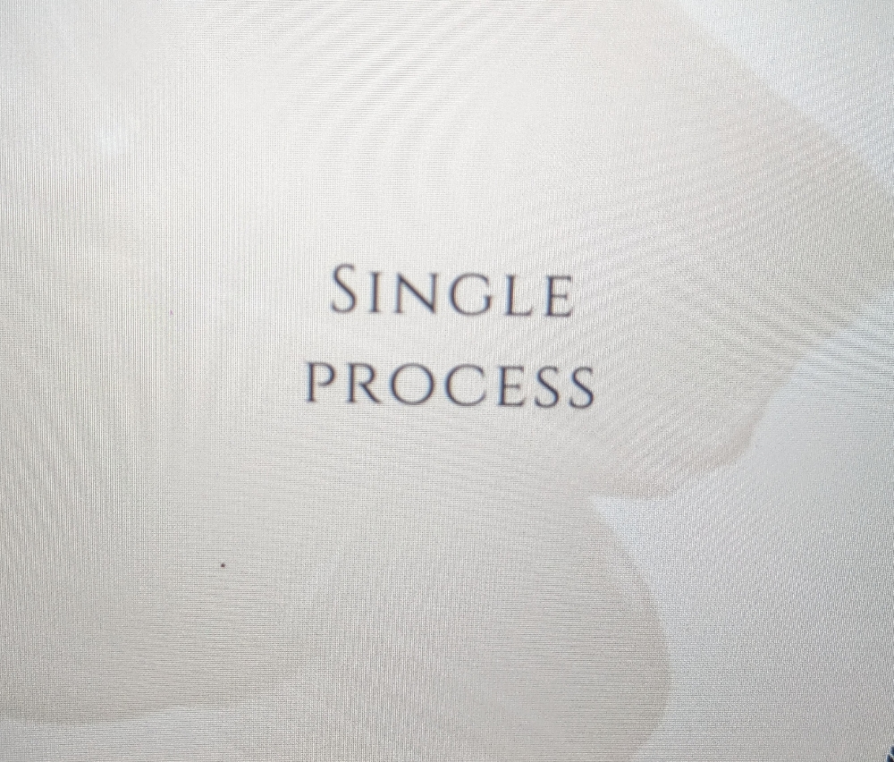 SINGLE PROCESS with Allison