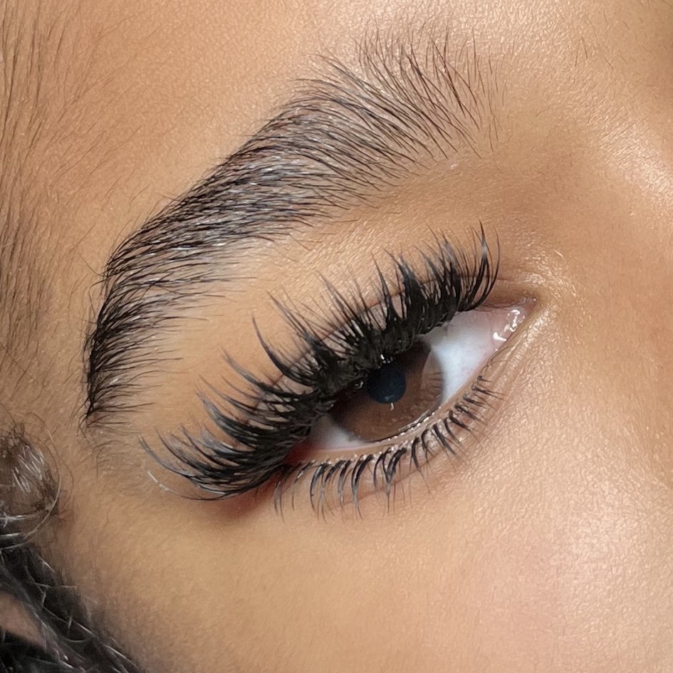 Bottom Lashes