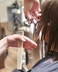 Women's Shampoo/Haircut/Blowdry at Hair Studio217 in New Port Richie, FL