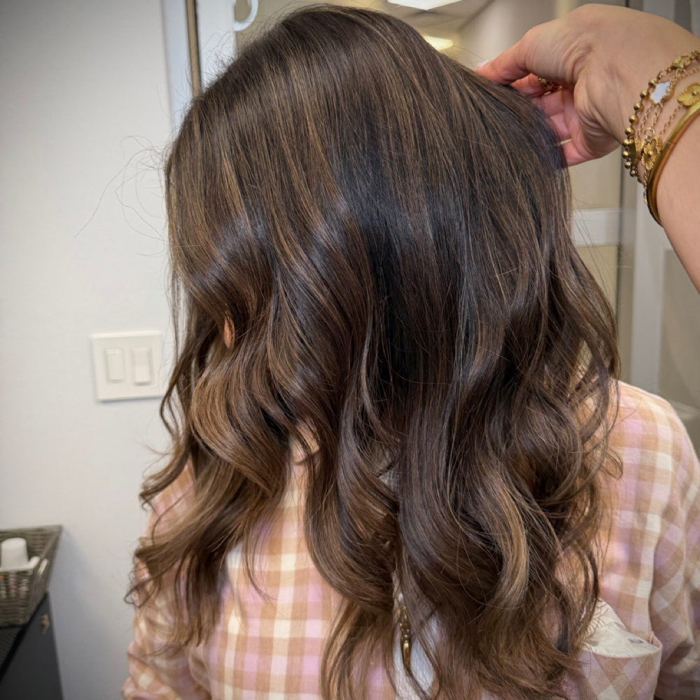 Base Color + Haircut + Toner at Erika Hair Design in Oak Brook, IL