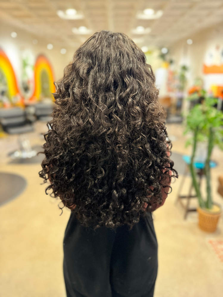 Curly Extensions Consultation