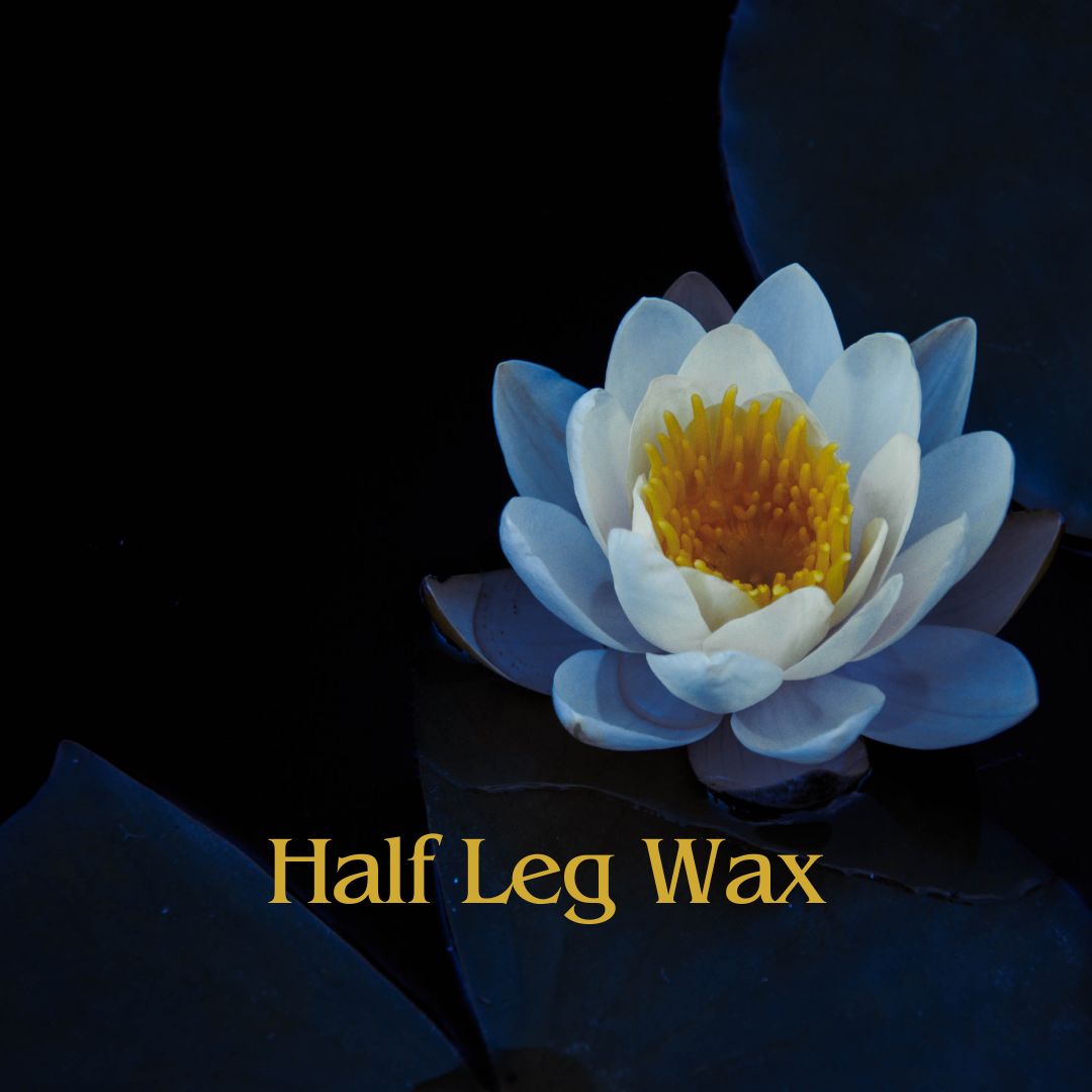 1/2 Leg Wax at Blue Lotus Beauty Spa in Sheboygan, WI