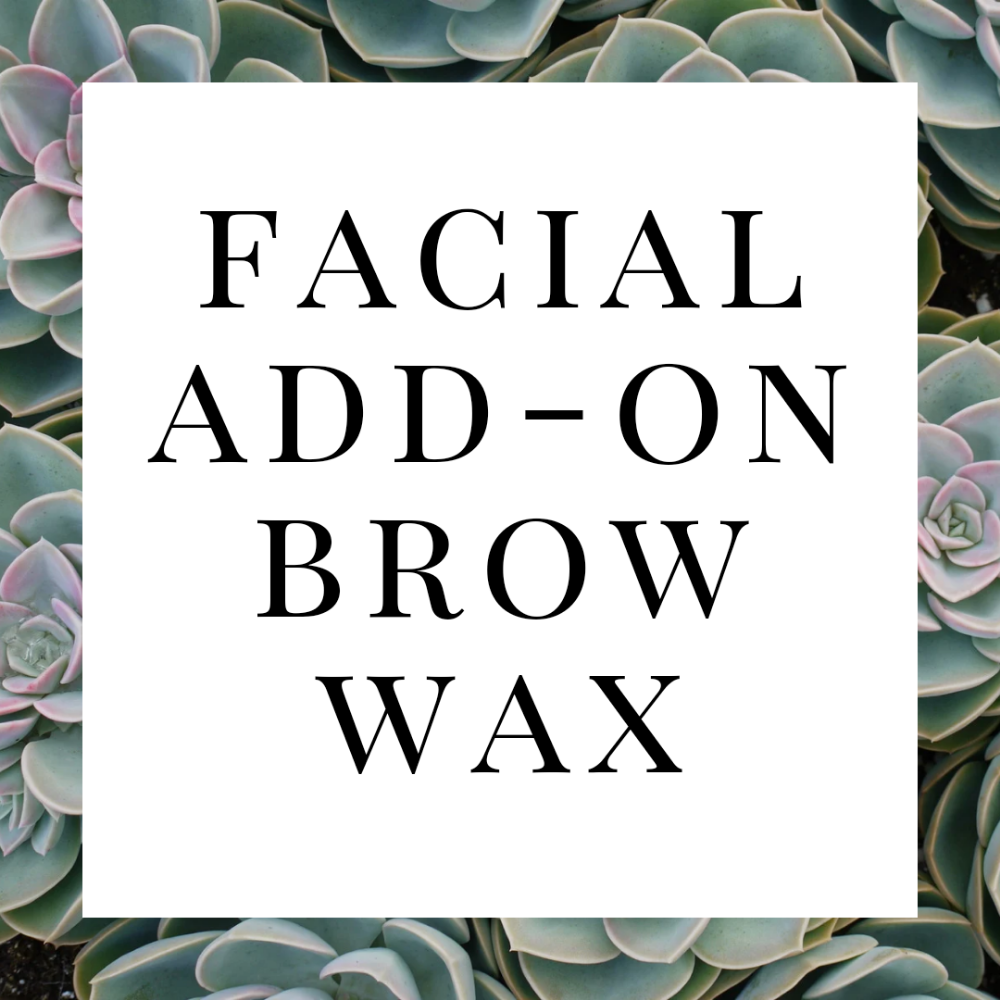 Facial Add On Brow Wax