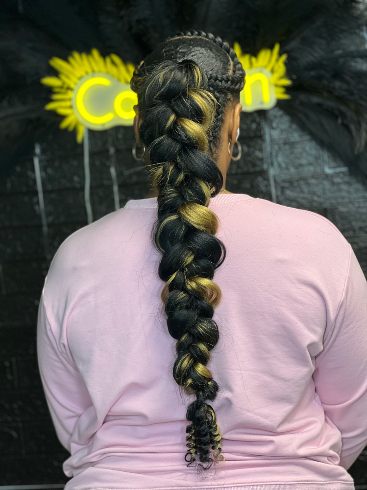 Sleek Braided Pony