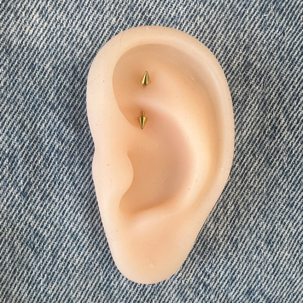 Rook at The Brow & Skin Co. by Shannon in Cranberry Twp., PA