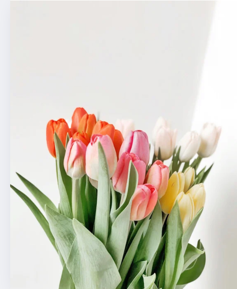 Mother’s Day Special