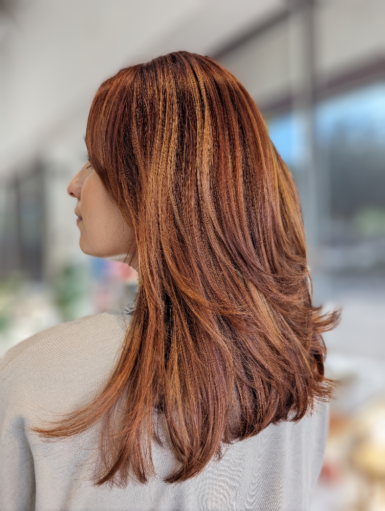 Root Touch Up + Highlights