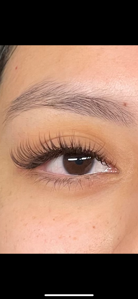 Wet Brown Full Set