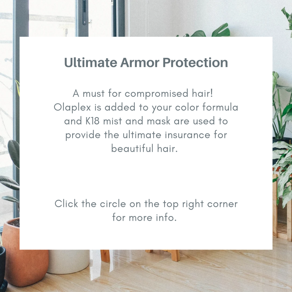 Ultimate Armor Protection