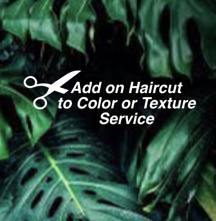 Hair Cut Add On To Color Service