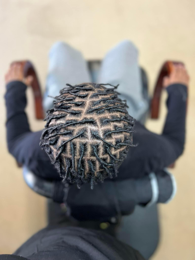 Ages 6-10 starter locs