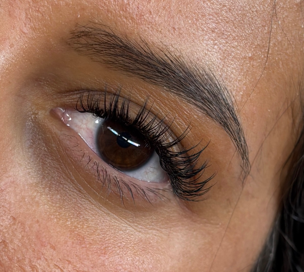 Lash Fill