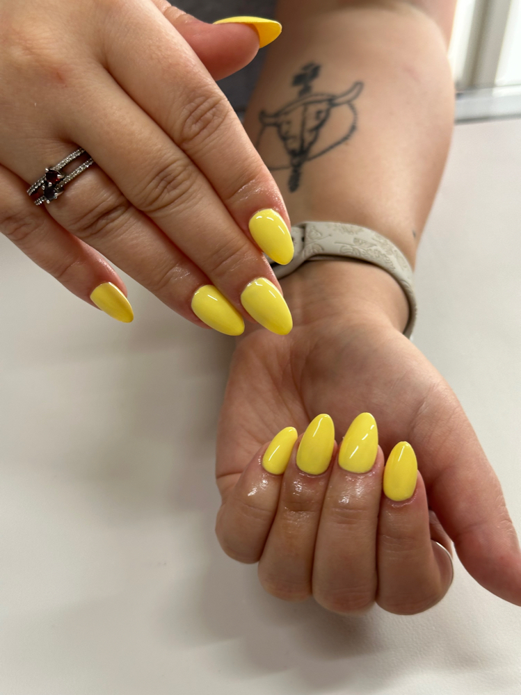 Short Full Set (Solid Color)
