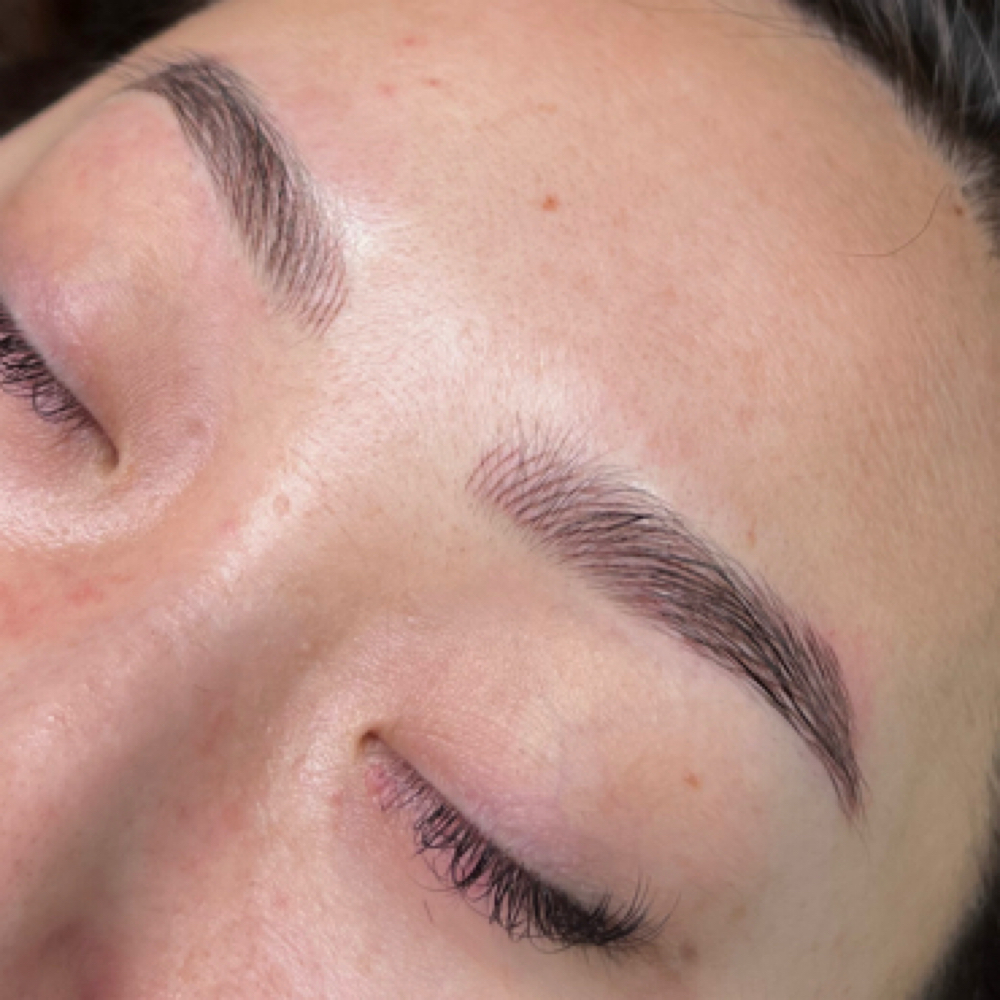 Nano Brow at Niks Ink & Beauty in WHITE BEAR LAKE, MN