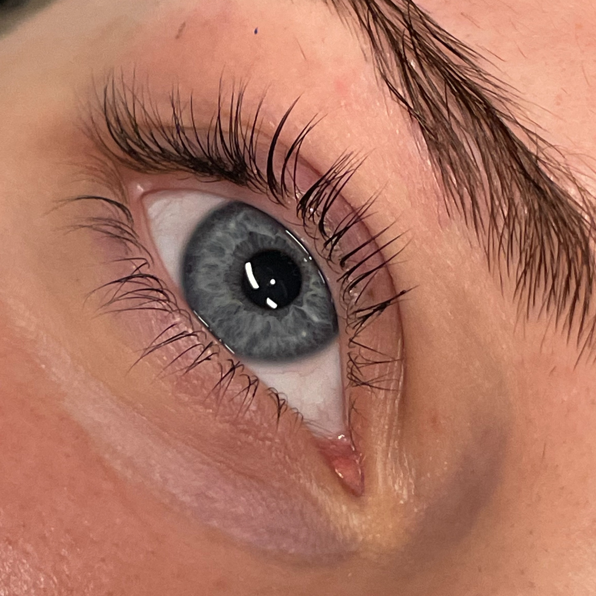 Korean Lash Lift & Tint at Ashlyn Rogers Esthetics in Paducah, KY