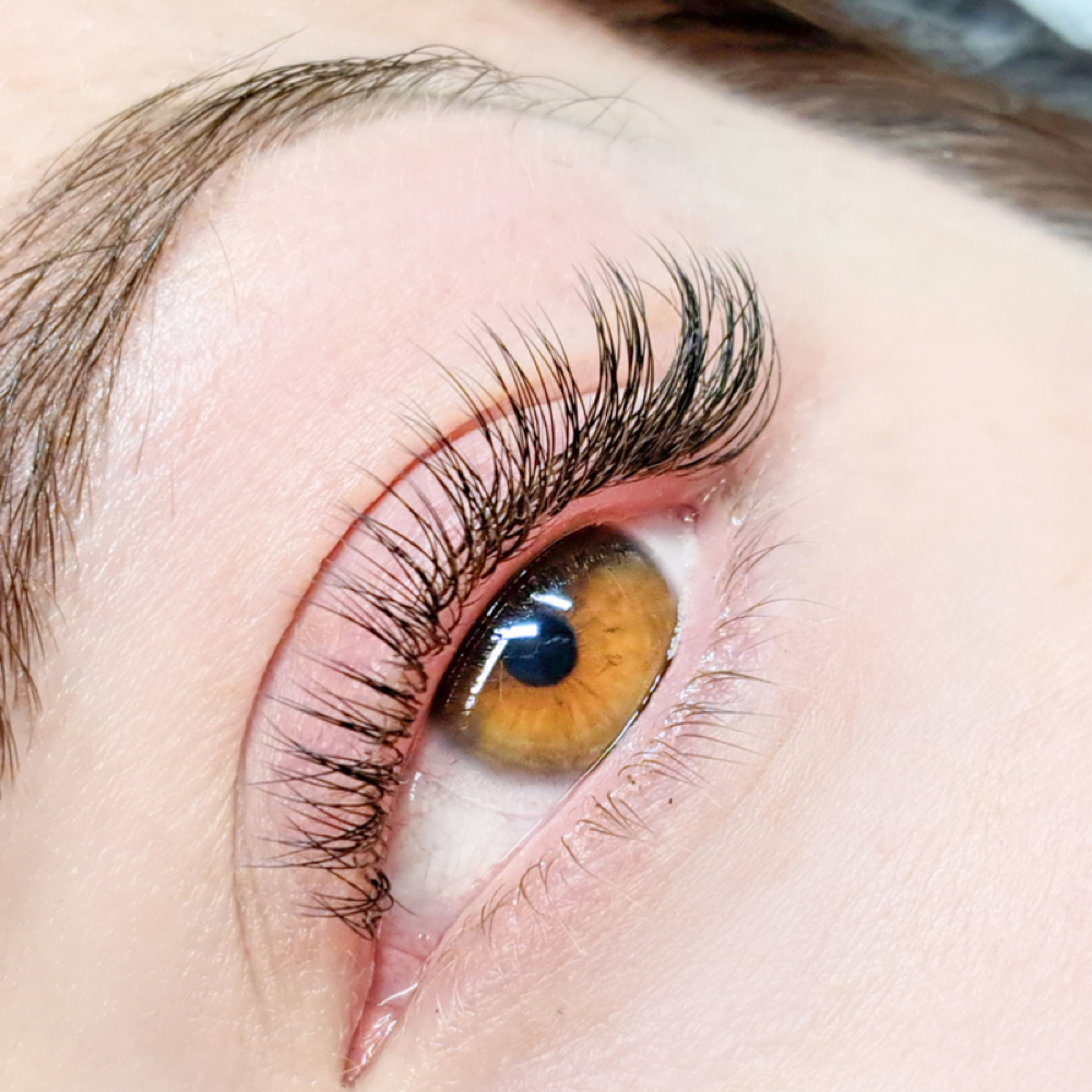 Classic Lashes Full Set at Blessed Beauty in Shreveport, LA