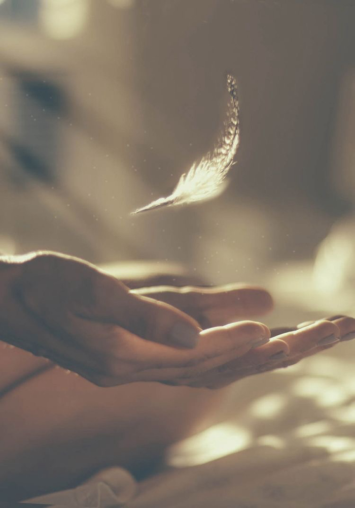 November Healing Special