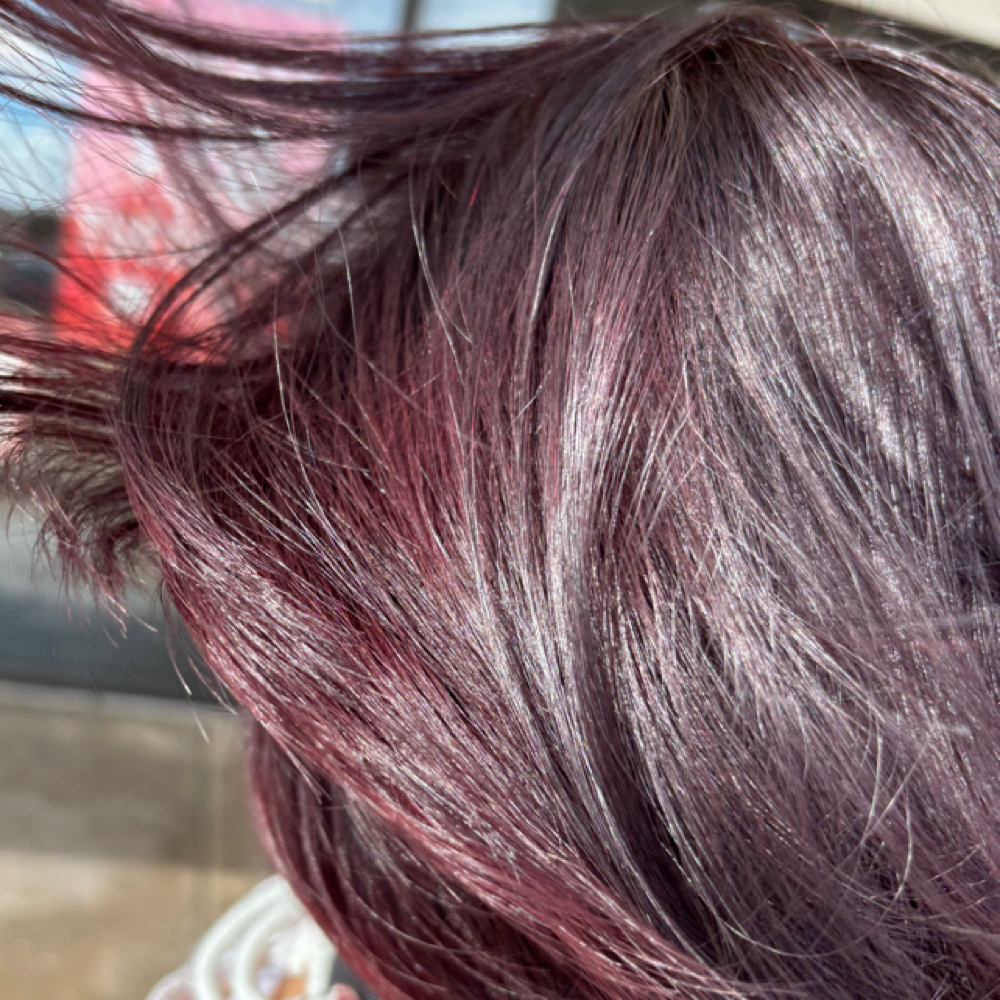 Color correction at Perfectly Petty Hair in Colorado Springs, CO