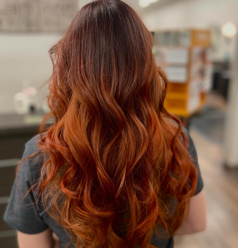 Roots+ Full Highlight