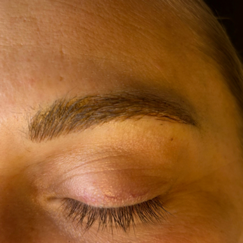 Brow Touch-Up PMU * at Pretty In Ink PMU & Electrolysis in Portsmouth, OH