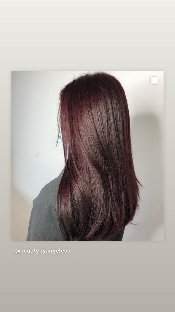 All Over Color at Beauty By Angeles in Gurnee, IL
