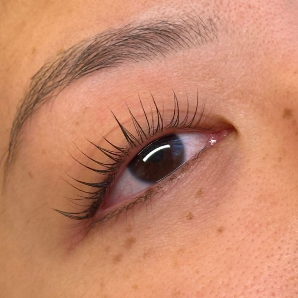 Korean Lash Lift at Dhaisy’s Beauty in Northglenn, CO