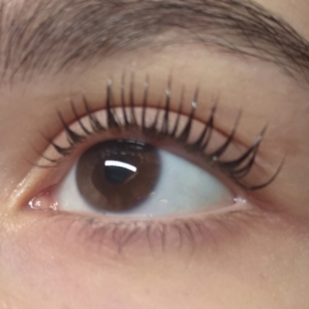 $65 KOREAN LASH LIFT at Elevated Lashes By Estella in TX, TX